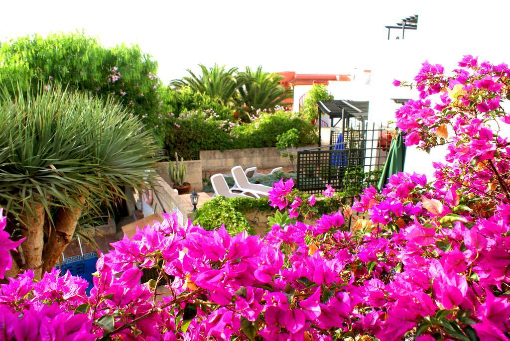 Casa San Miguel Apartment San Miguel de Abona Exterior foto